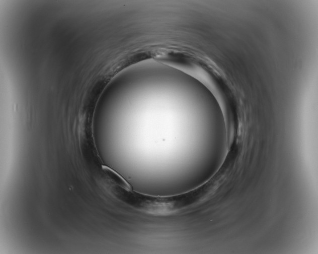 X0000087580217200704271311
