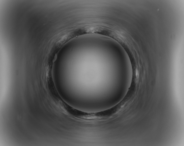 X0000087580219200704271311