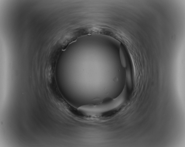 X0000087580223200704271311