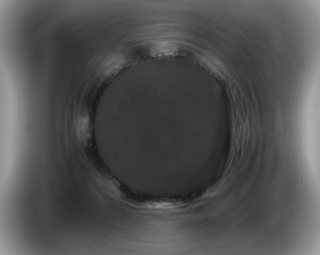 X0000087580224200704271311