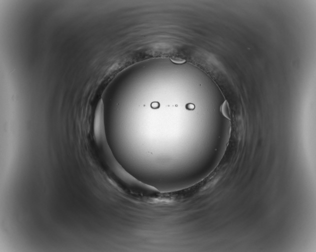 X0000087580232200704271311