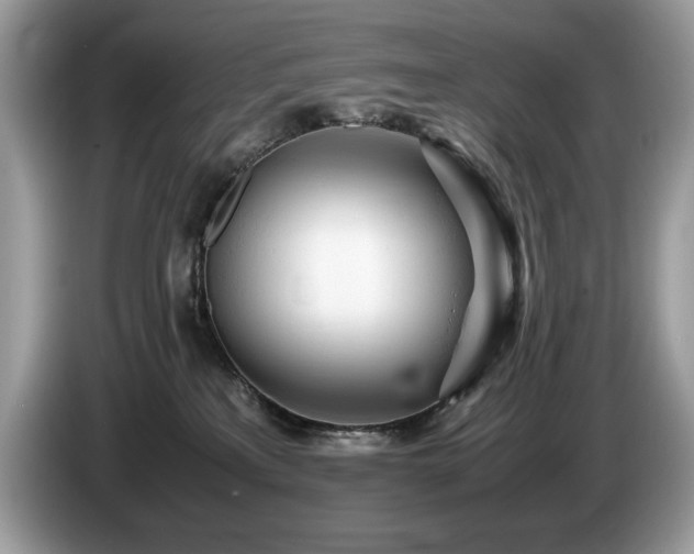 X0000087580233200704271311