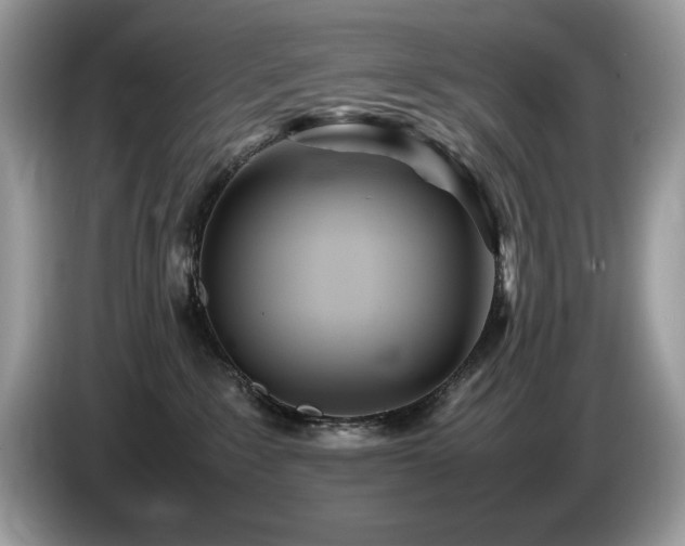X0000087580235200704271310