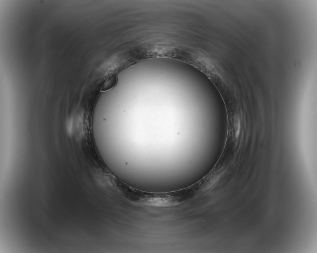 X0000087580236200704271310