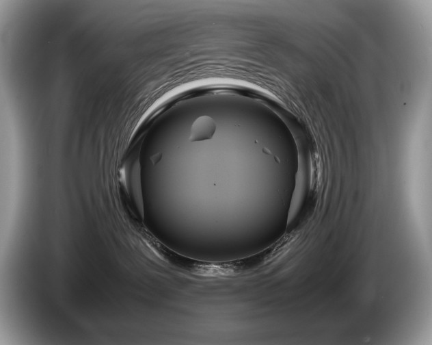 X0000087580239200704271310