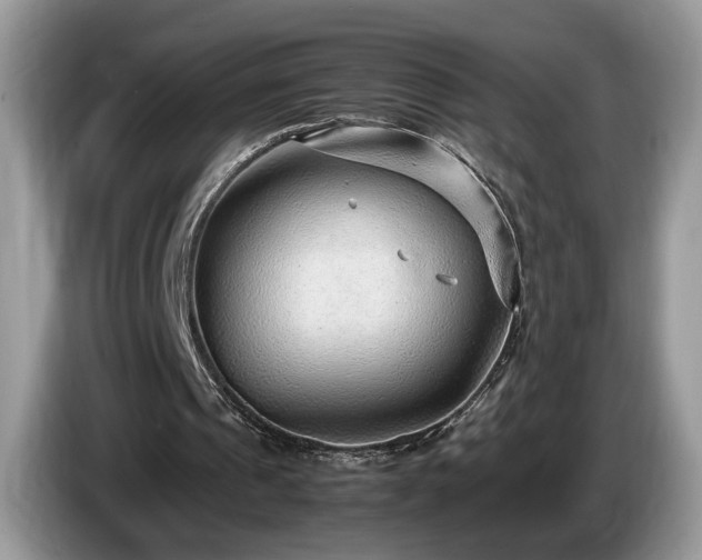 X0000087580241200704271310