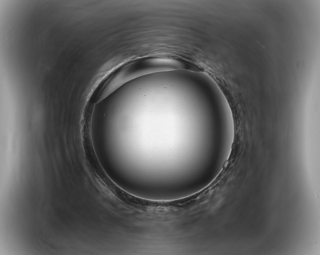 X0000087580242200704271310
