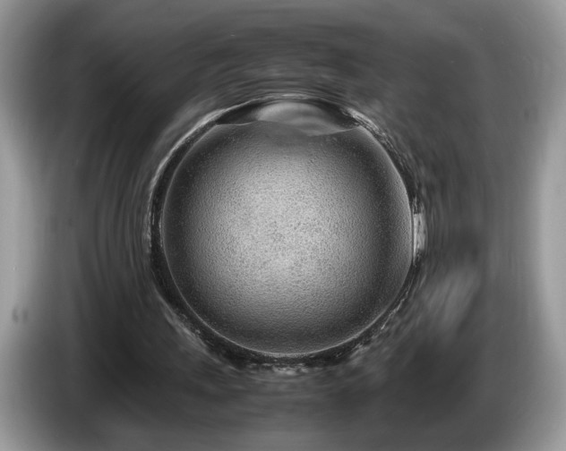 X0000087580243200704271310