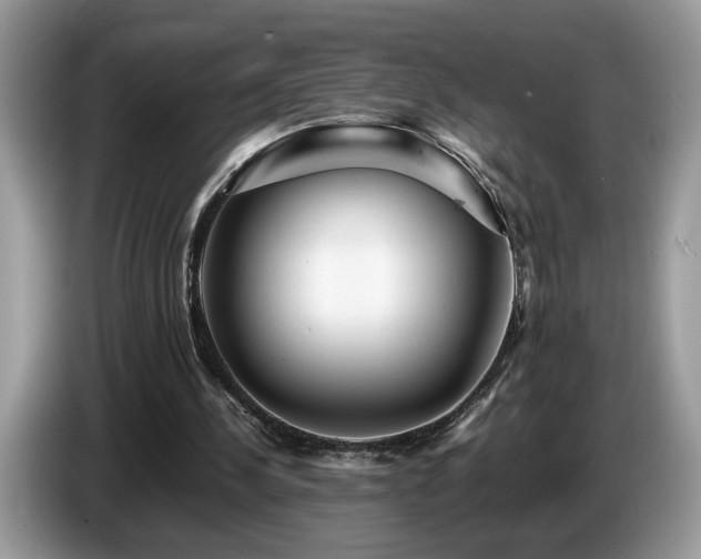 X0000087580244200704271310