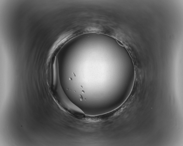 X0000087580245200704271310
