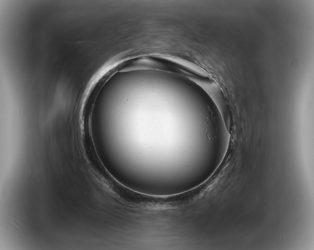 X0000087580246200704271310