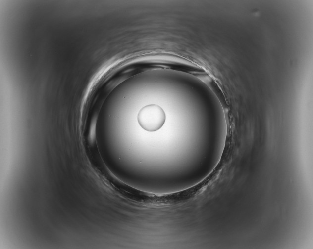 X0000087580248200704271310