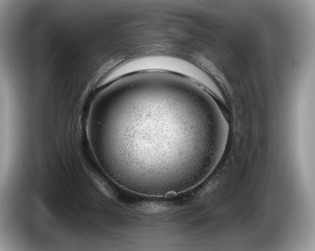 X0000087580250200704271310
