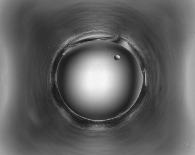 X0000087580252200704271310