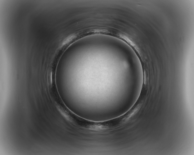 X0000087580253200704271310