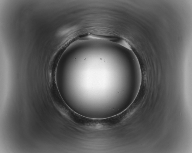 X0000087580254200704271310
