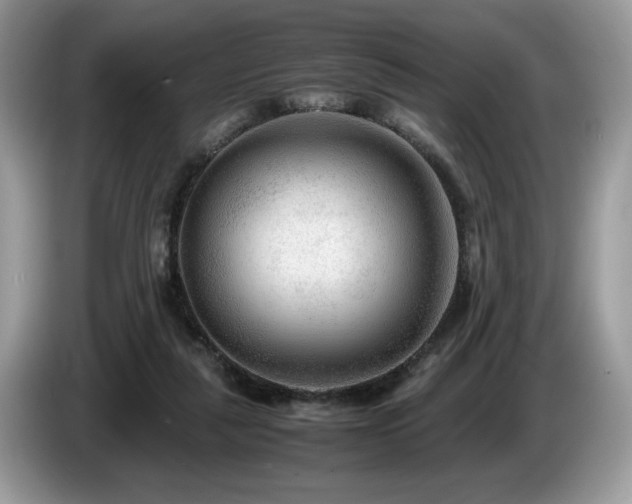 X0000087580259200704271310