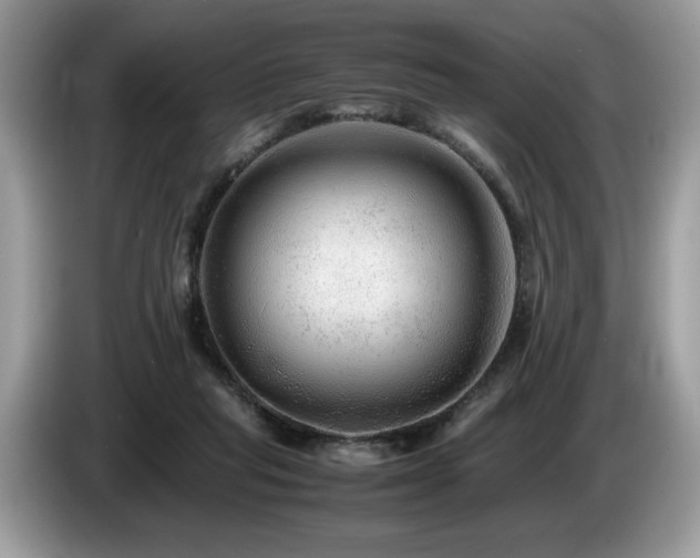 X0000087580261200704271310