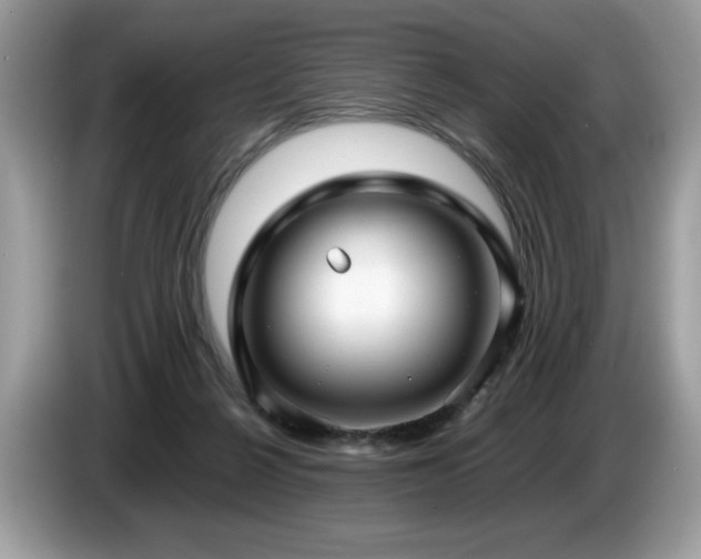 X0000087580264200704271310
