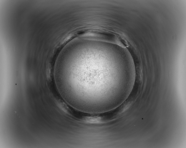 X0000087580266200704271310