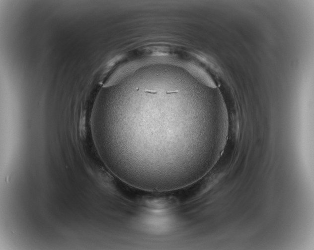 X0000087580267200704271310