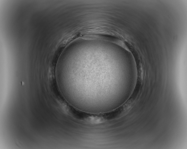 X0000087580272200704271310