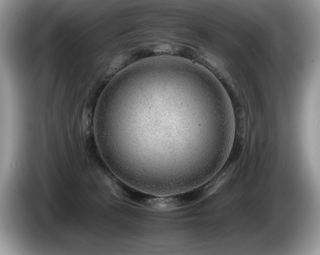 X0000087580273200704271310