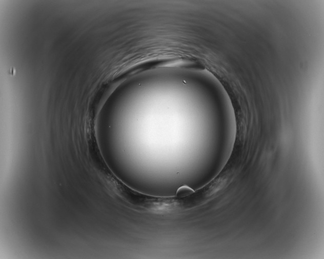 X0000087580274200704271310