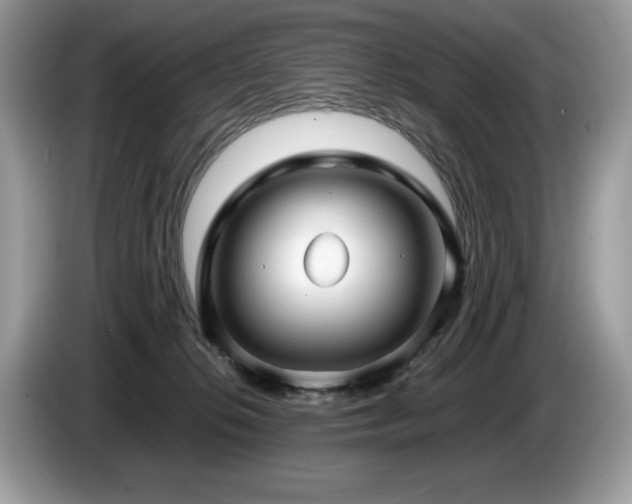 X0000087580276200704271310