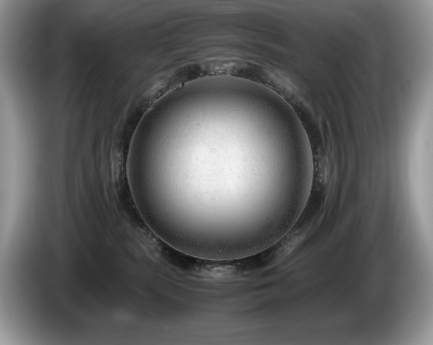X0000087580283200704271310