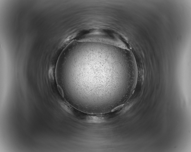 X0000087580286200704271310