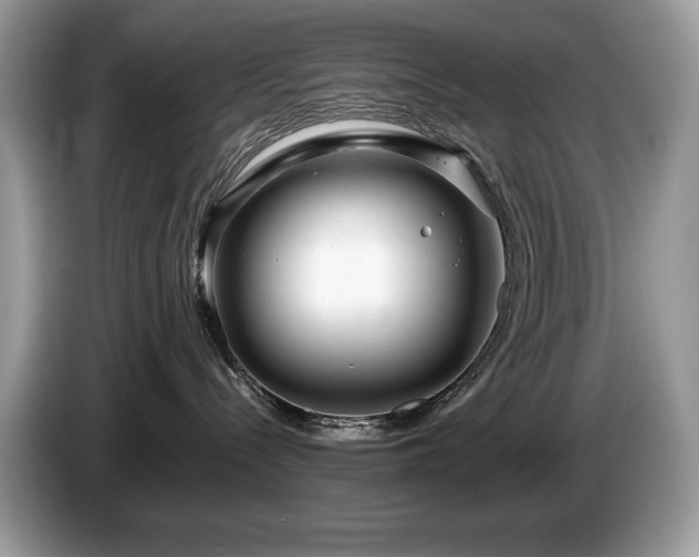 X0000087580288200704271310