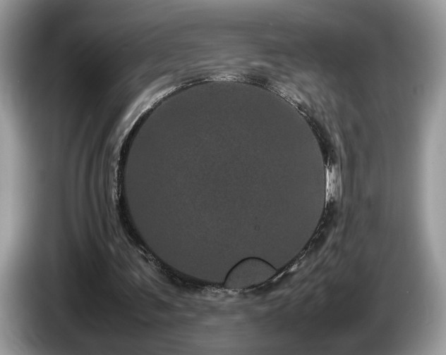 X0000087580291200704271310