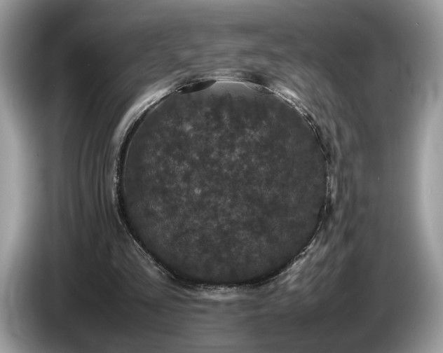 X0000087580293200704271310