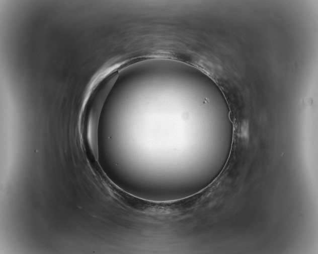 X0000087580294200704271310