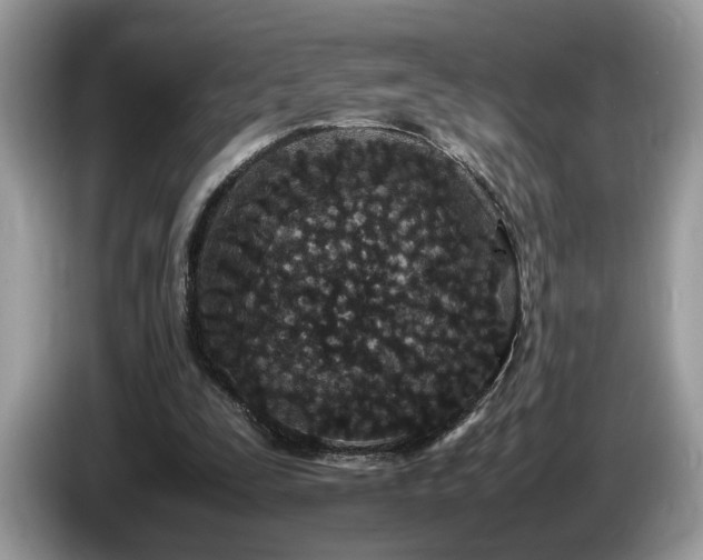 X0000087580295200704271310