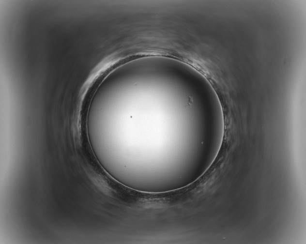 X0000087580296200704271310