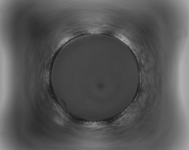 X0000087580297200704271310