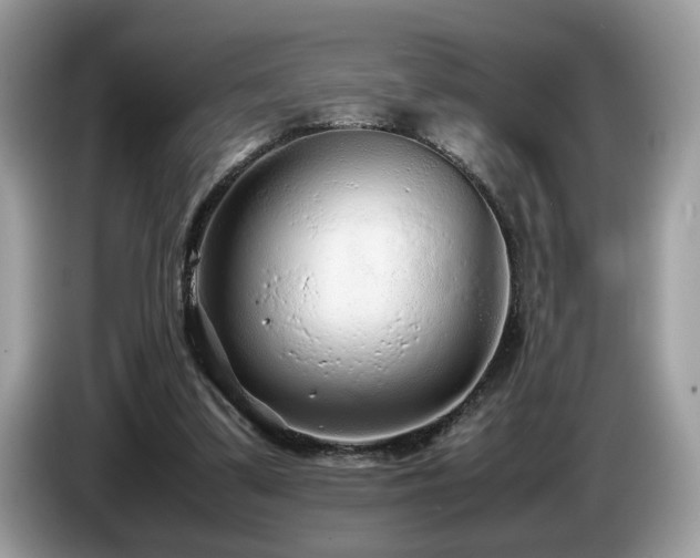 X0000087580299200704271310
