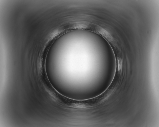 X0000087580300200704271310