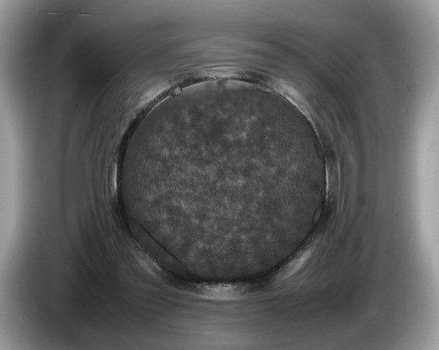 X0000087580301200704271310