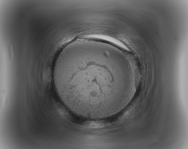 X0000087580303200704271310