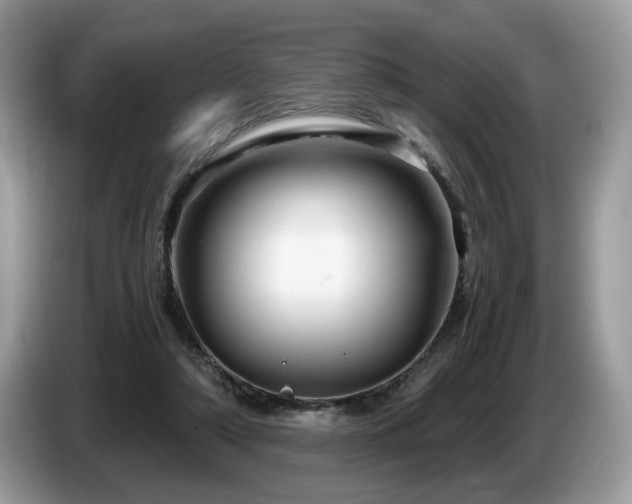 X0000087580306200704271310
