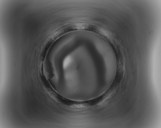 X0000087580307200704271310
