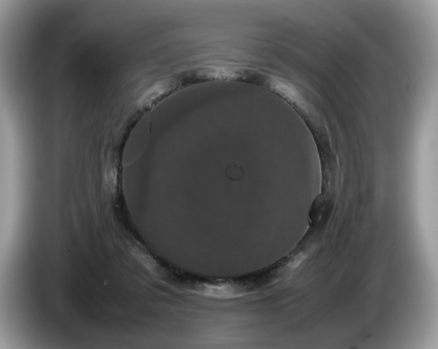 X0000087580309200704271310