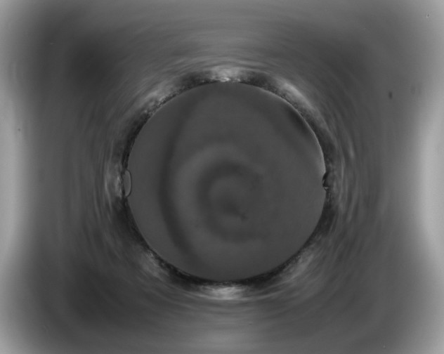 X0000087580313200704271310
