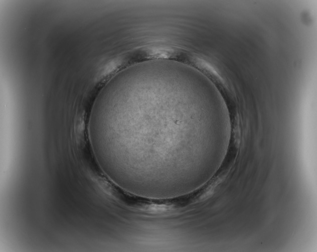 X0000087580314200704271310