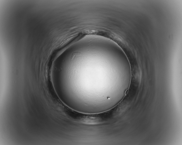 X0000087580315200704271310