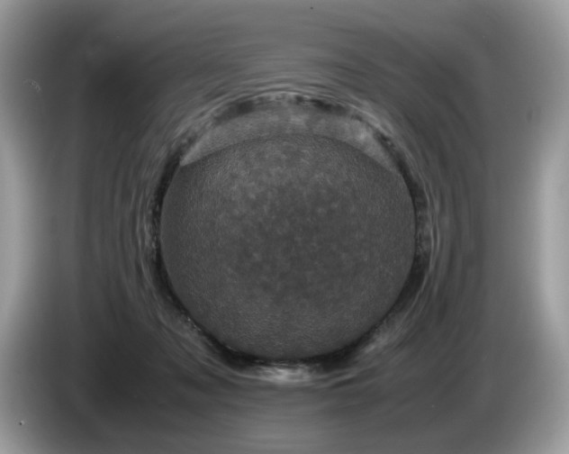 X0000087580317200704271310