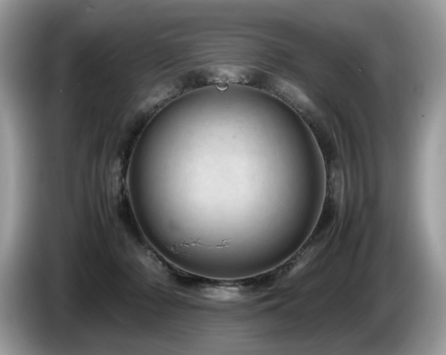 X0000087580318200704271310